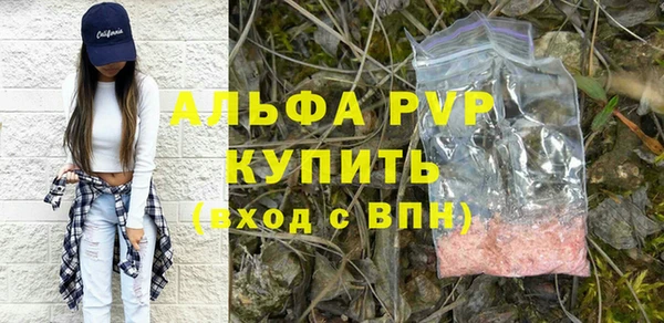 ПСИЛОЦИБИНОВЫЕ ГРИБЫ Барнаул