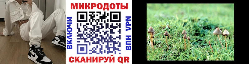 Псилоцибиновые грибы мухоморы OMG как войти Нижневартовск